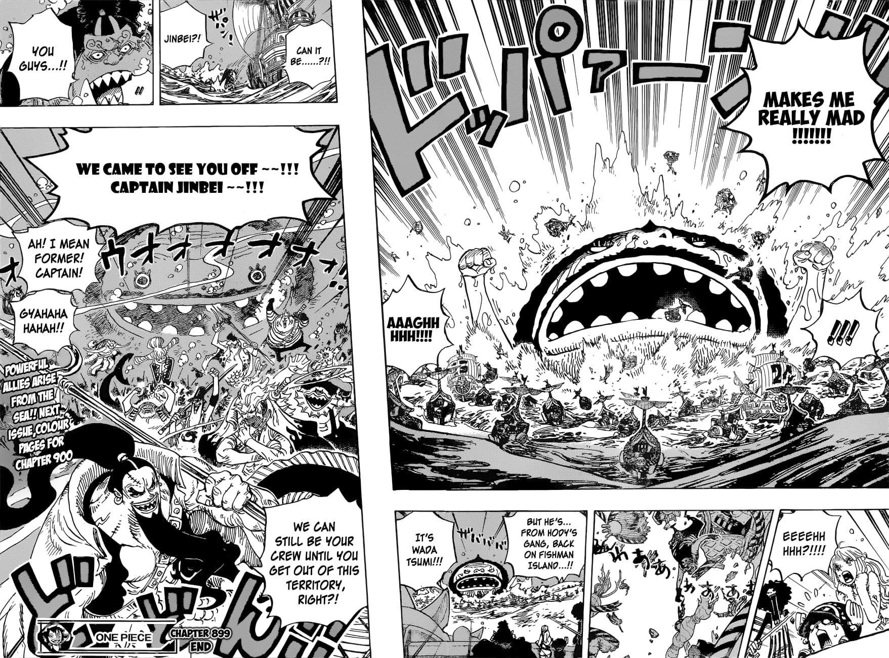 One Piece, Chapter 899 image 17